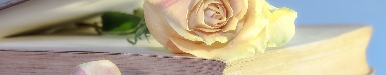 rose, book, old book, blossom, used, rose flower, old, book pages, nostalgic, open book, bookmark, rose bloom, petals, rose petals, close up, rose wallpaper, rose, rose, rose, book, book, book, book, book